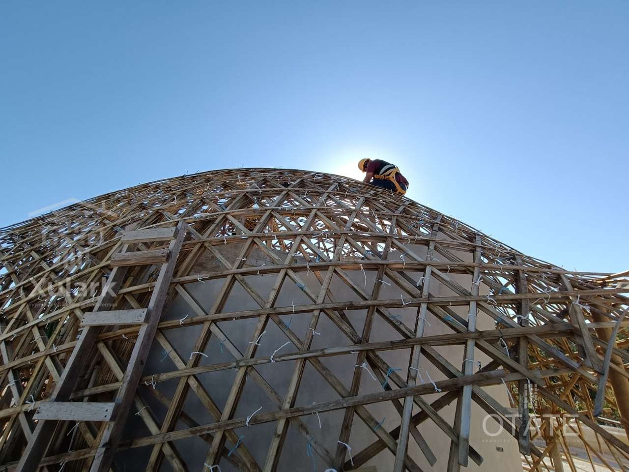 Estructura de Bambú Oldhamii