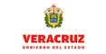 logo-veracruz